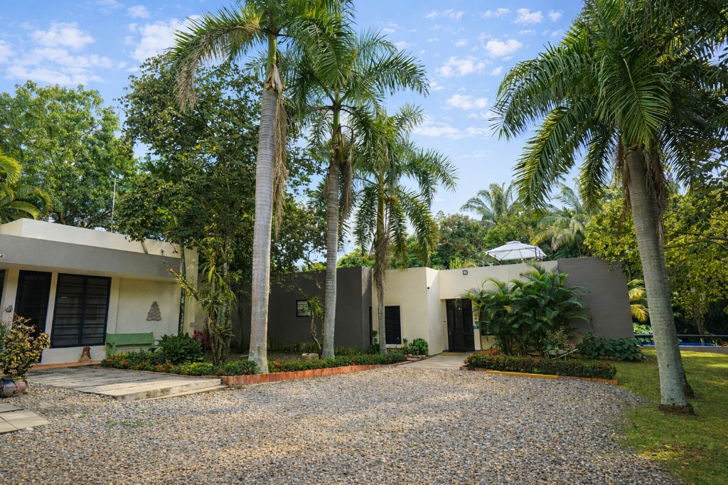 Exterior con jardín tropical