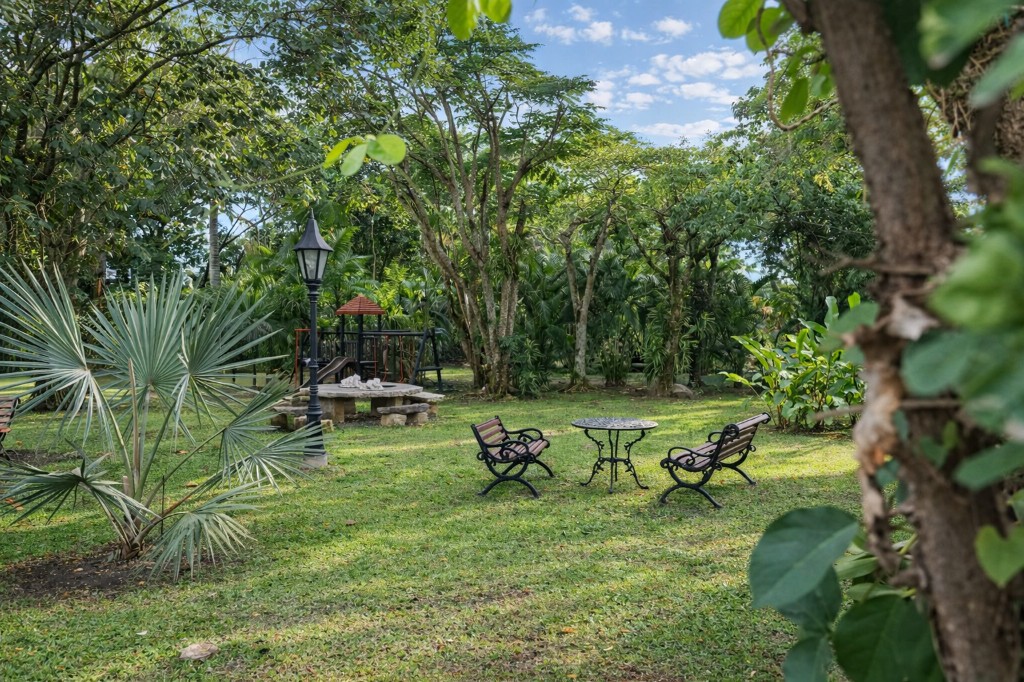 Villa rodeada de palmeras
